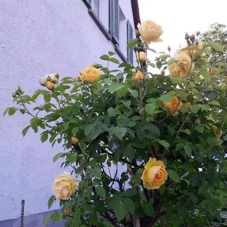 Ferienwohnung Borrs Apartmán Uberlingen