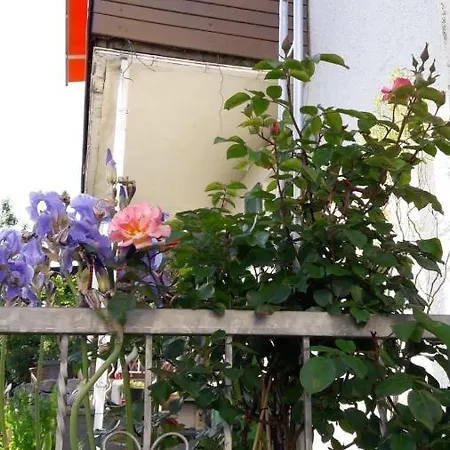Ferienwohnung Borrs *